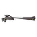 carabina-de-pressao-gamo-elite-premium-igt-5-5mm-z2