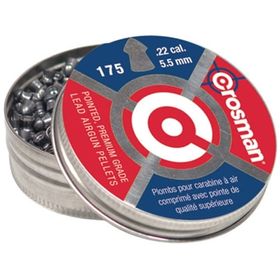 Chumbinho Alto Desempenho Crosman Pointed Field Hunting 5.5mm 175 un