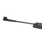 carabina-de-pressao-everest-5-5mm-com-gas-ram-qgk-z5