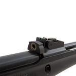 carabina-de-pressao-beretta-rx40-5-5mm-nitro-stoeger-airguns-z4