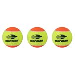 raquete-beach-tennis-fusion-pink-3-bolas-premium-overgrip-premium-wilson-z4