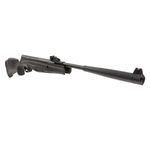 carabina-de-pressao-beretta-rx20-dynamic-5-5mm-nitro-stoeger-airguns-z2