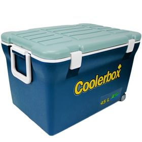 Caixa Termica Coolerbox 45 Lts. Prata - Pesca Brasil