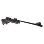 carabina-de-pressao-gamo-big-cat-1000-igt-5-5mm-capa-z6
