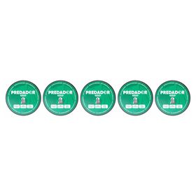 Kit 5 Chumbinho Aurok Predador Pointed 5.5mm - 1.000UN