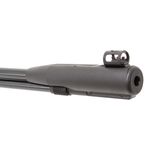 carabina-de-pressao-gamo-cfx-igt-4-5mm-z4