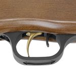 carabina-de-pressao-nitro-bam-ar-gs1250-5-5mm-capa-l5