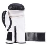 luva-de-boxe-infantil-acte-sports-z5