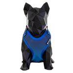 peitoral-air-flat-azul-freefaro-z1