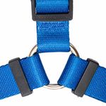peitoral-h-flat-azul-freefaro-z7