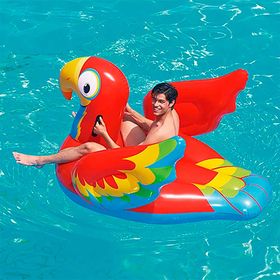 Bóia Inflável Papagaio para Piscina - MOR