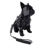coleira-e-guia-com-amortecedor-g-paws-z16