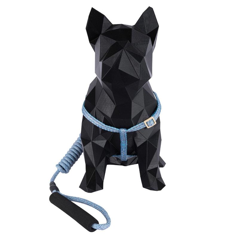 coleira-e-guia-com-amortecedor-g-paws-z1