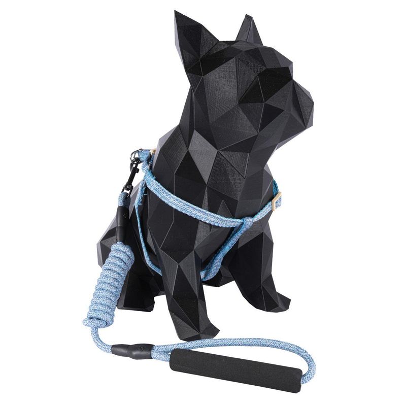 coleira-e-guia-com-amortecedor-g-paws-z2