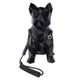 coleira-e-guia-com-amortecedor-g-paws-z15