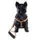 coleira-e-guia-com-amortecedor-g-paws-z8