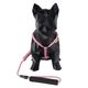coleira-e-guia-com-amortecedor-g-paws-z22