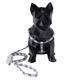 coleira-e-guia-urso-m-paws-z1