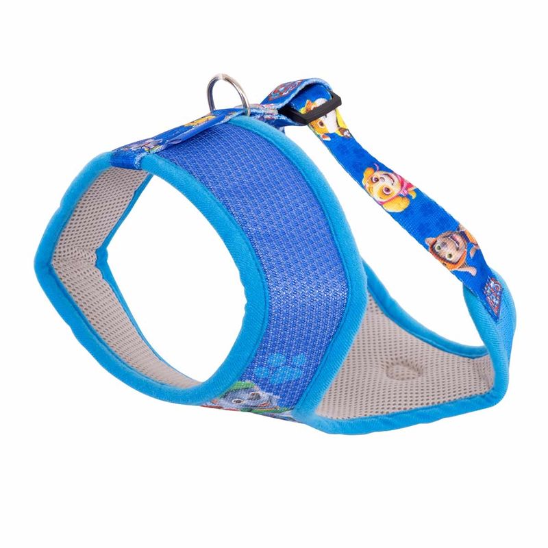 Peitoral-Paw-Azul