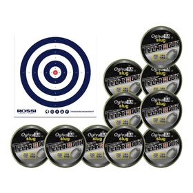 Kit 10 Cx Chumbinho Ogiva Slug 5.5mm 250unds + Alvos