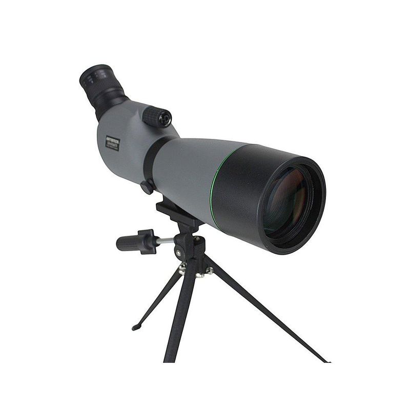 image-bf1efd7ac84243a197e9984fc4511bdf