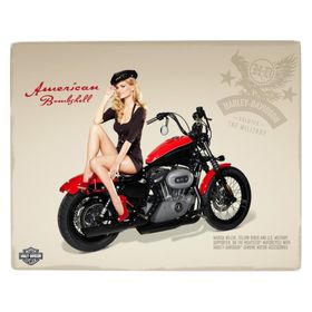 Placa All Classics Harley Davidson Pin Up 1