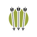 Flechas para arco